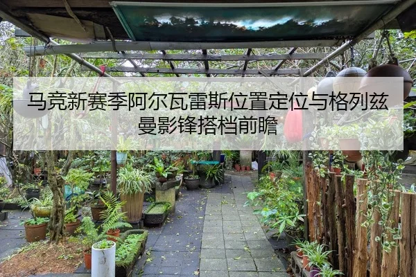 马竞新赛季阿尔瓦雷斯位置定位与格列兹曼影锋搭档前瞻