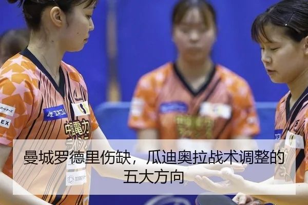 man-cheng-luo-de-li-shang-que-gua-di-ao-la-zhan-shu-tiao-zheng-de-wu-da-fang-xiang-2-380.jpg