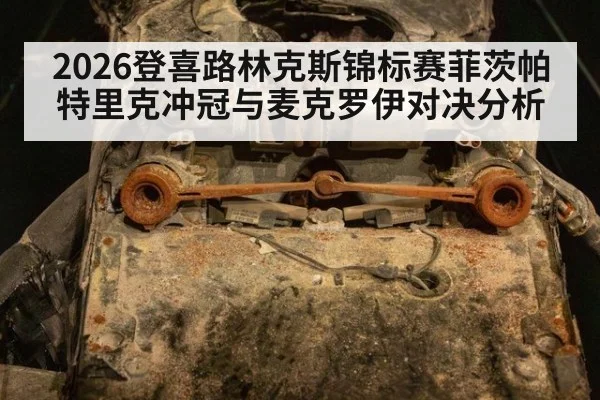 2026登喜路林克斯锦标赛菲茨帕特里克冲冠与麦克罗伊对决分析